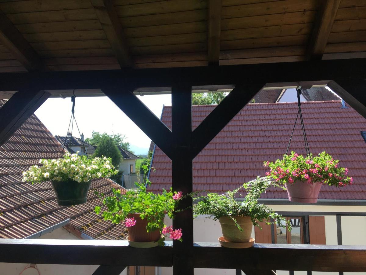 Bienvenue En Alsace Διαμέρισμα Huttenheim Εξωτερικό φωτογραφία