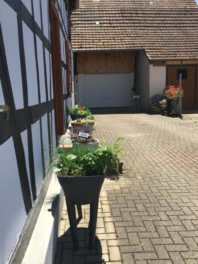 Bienvenue En Alsace Διαμέρισμα Huttenheim Εξωτερικό φωτογραφία