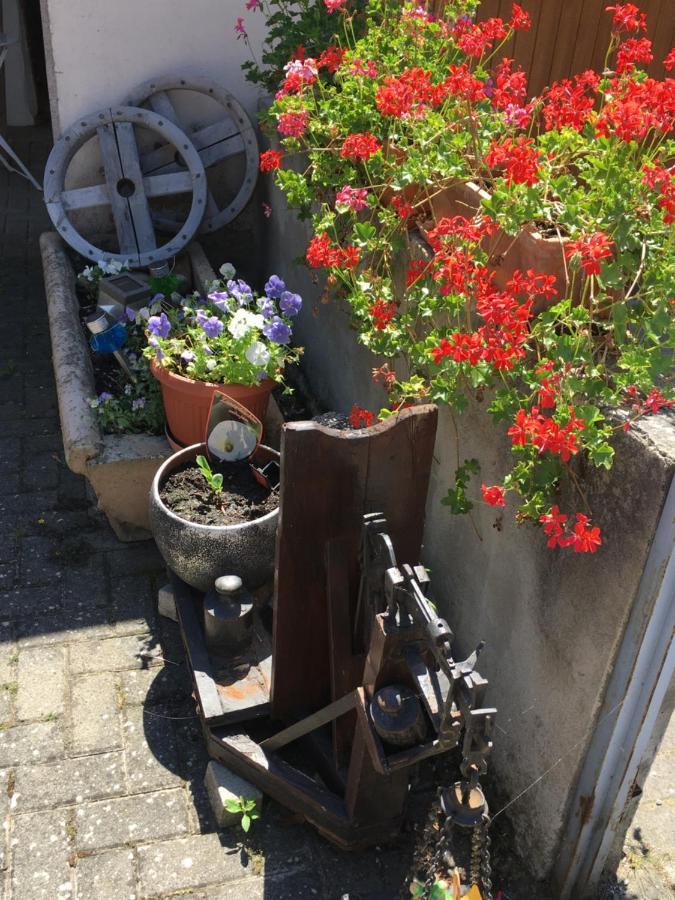 Bienvenue En Alsace Διαμέρισμα Huttenheim Εξωτερικό φωτογραφία
